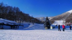 【亞洲】北海道 函館 洞爺湖 小樽 白色戀人雙溫泉 滑雪雙飛5日